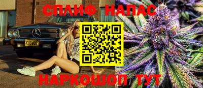 PSILOCYBIN Заводоуковск