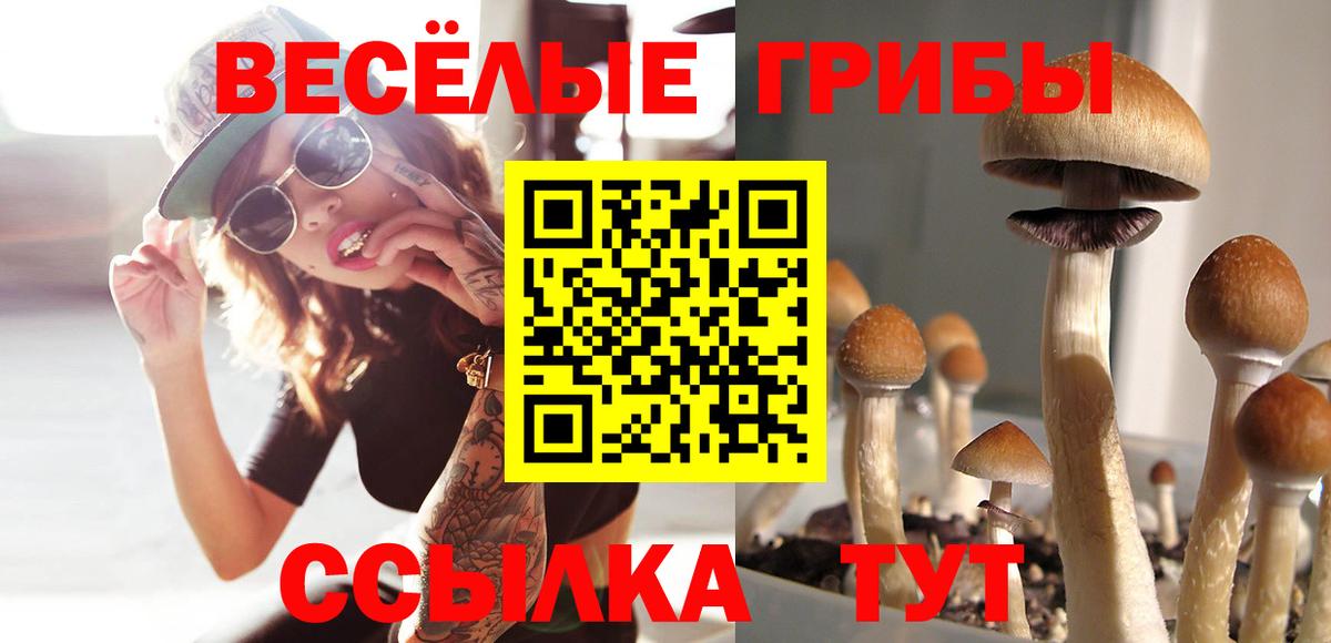 Галлюциногенные грибы GOLDEN TEACHER  Вход с VPN  Чебаркуль 